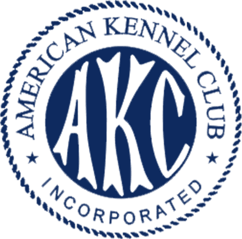 American Kennel Club